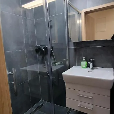 Appartement Gorkeho Brno